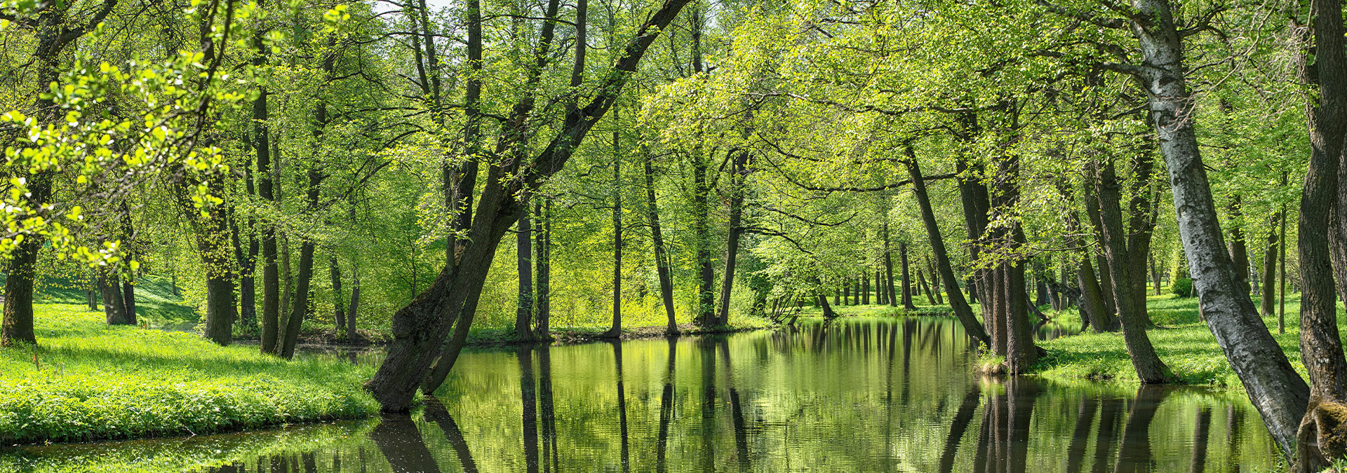 © dmitr1ch - stock.adobe.com/de/
